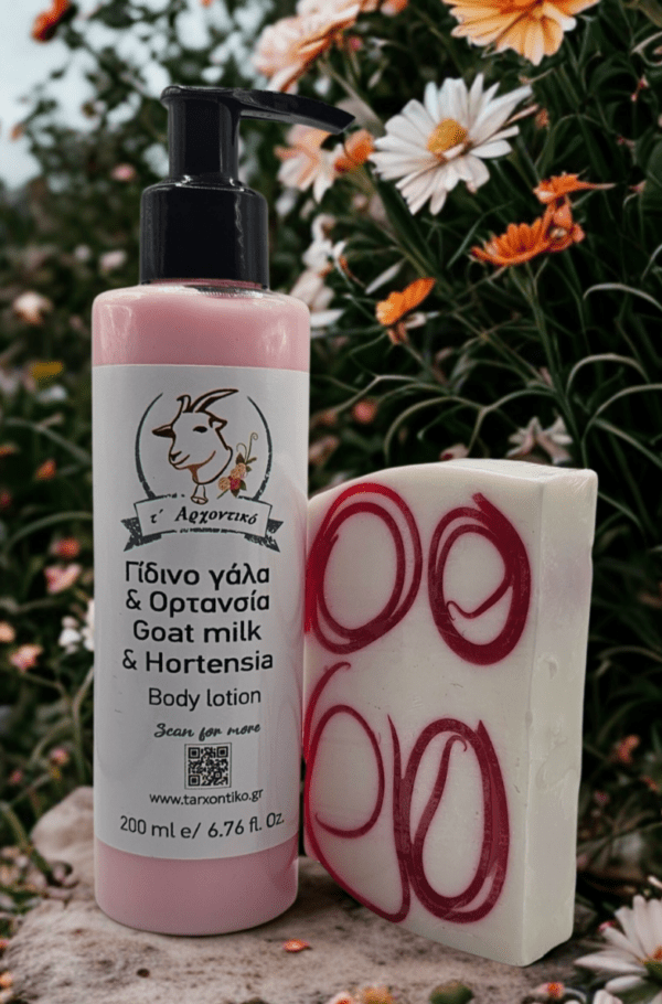 Σετ δώρου γαλάκτωμα σώματος ορτανσία και σαπούνι γλυκερίνης σταφύλι